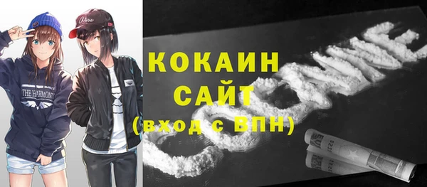 СК Бронницы
