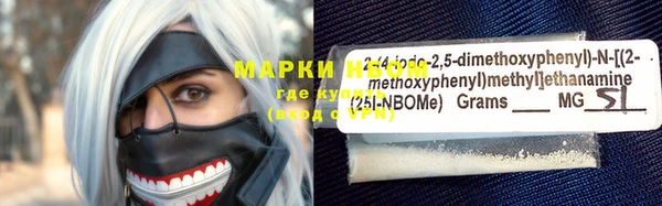 СК Бронницы