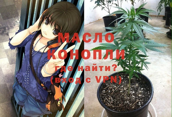 СК Бронницы
